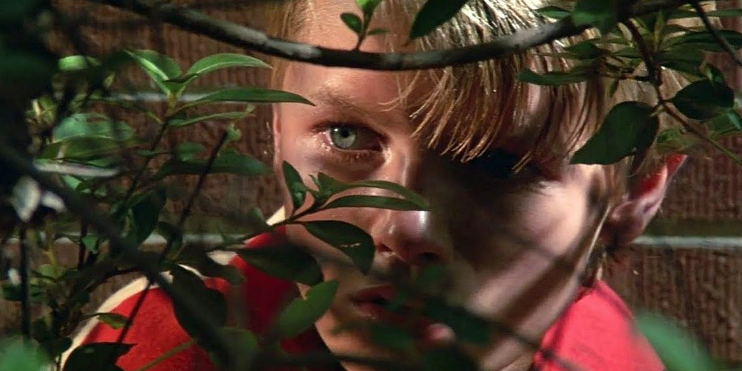 15 Wild Things Fans Don't Know About Stephen King's Maximum