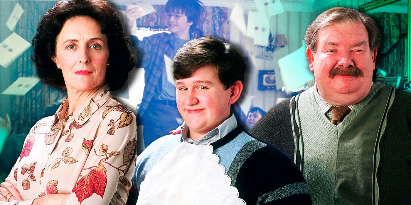 The dursleys sent harry potter 3 gifts throughout the series they
