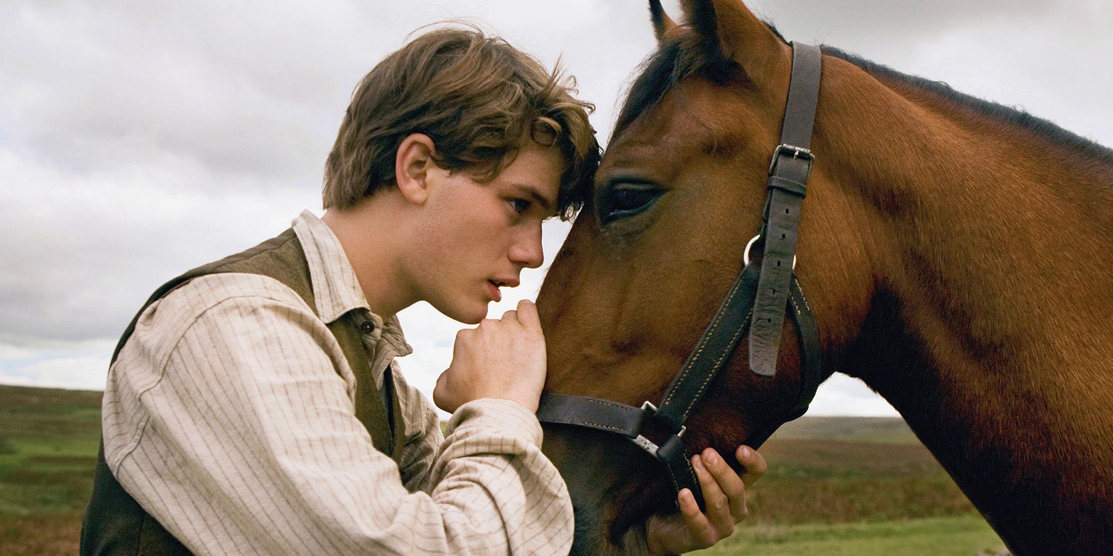 war horse photo