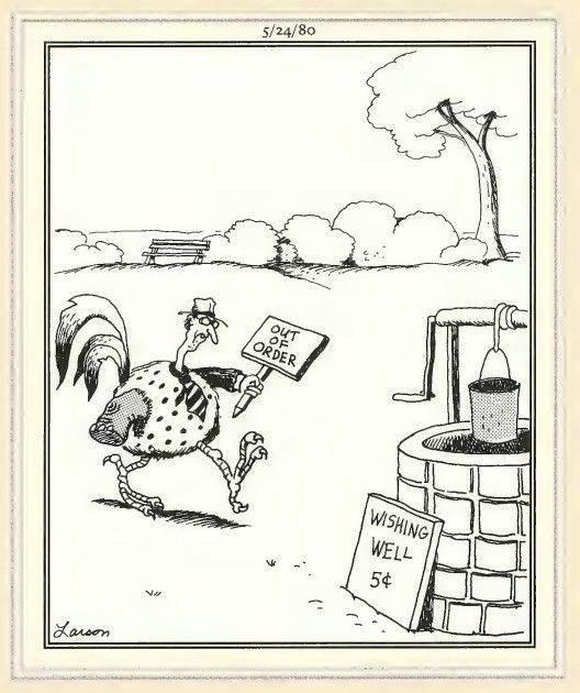 Far Side wishing well comic