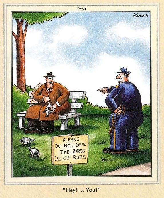 Far Side comic 'Do Not Give the Birds Dutch Rubs'