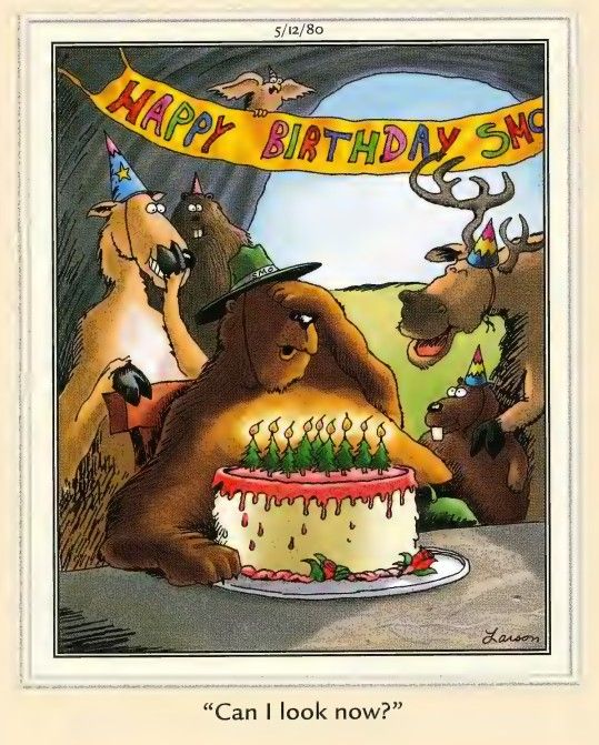 Far Side smokey the bear's birthday party