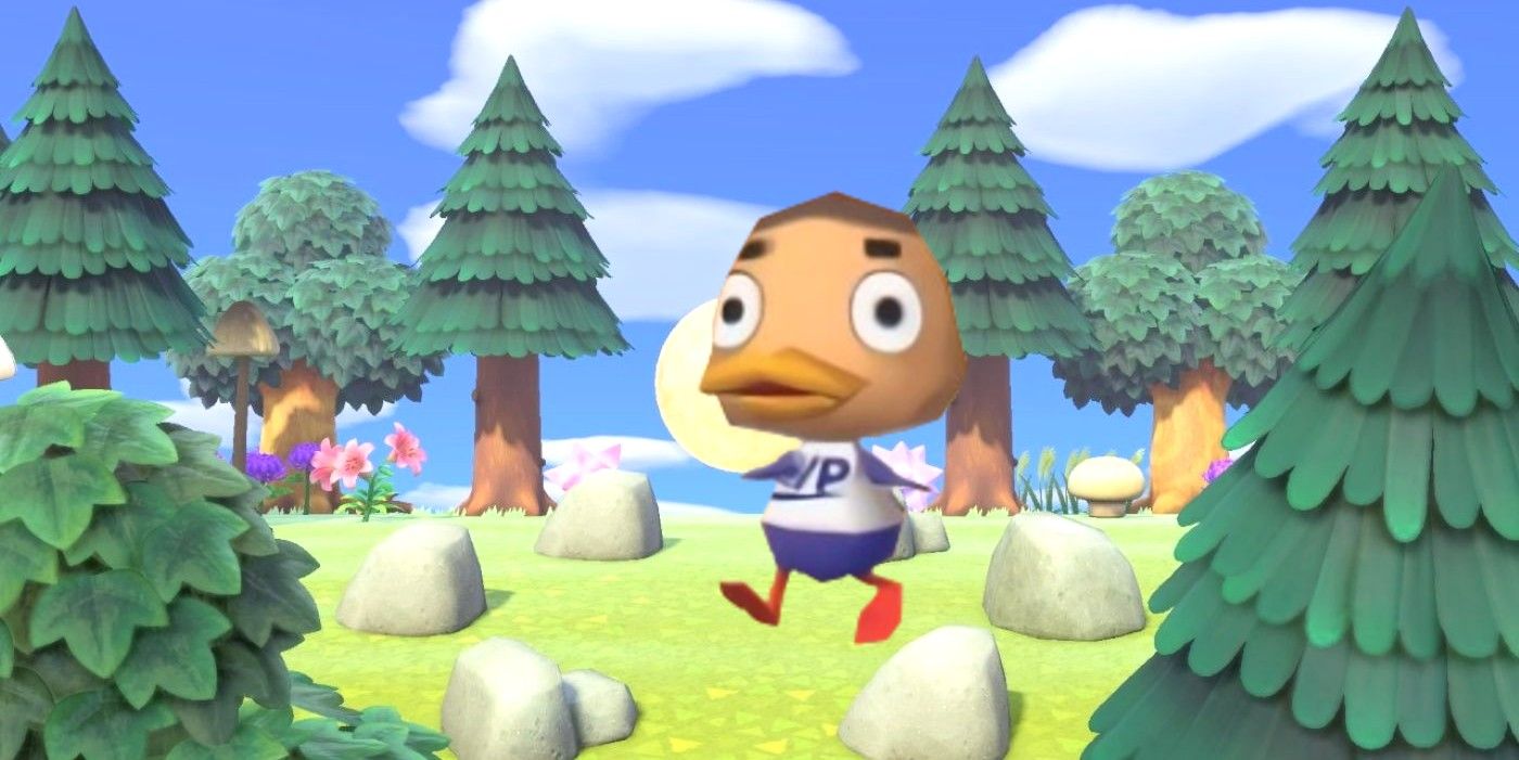 Shinaburu from Animal Crossing