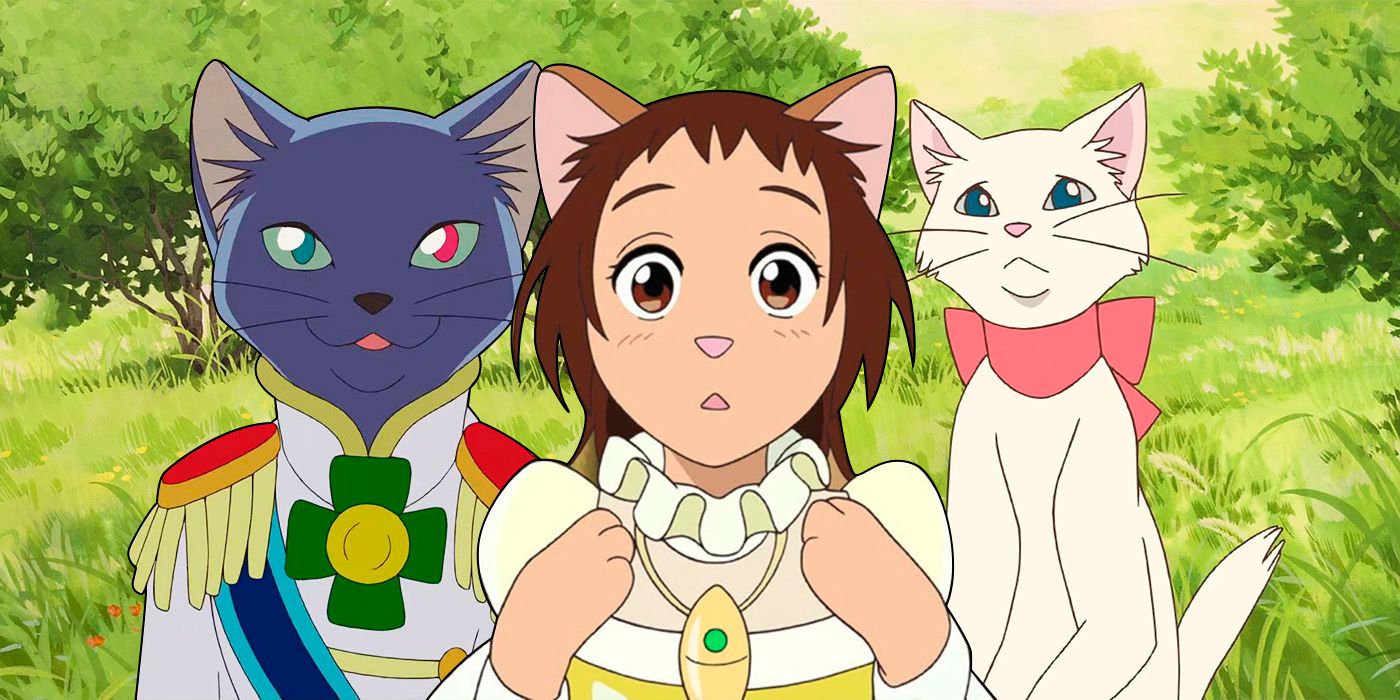 Yuki, Lune e Haru do gato retorna.