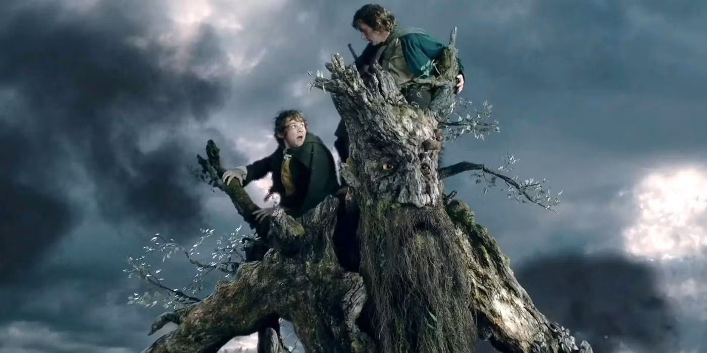 Tree Ent Hippy The Weirdest Details About Ents in The Lord of the Rings