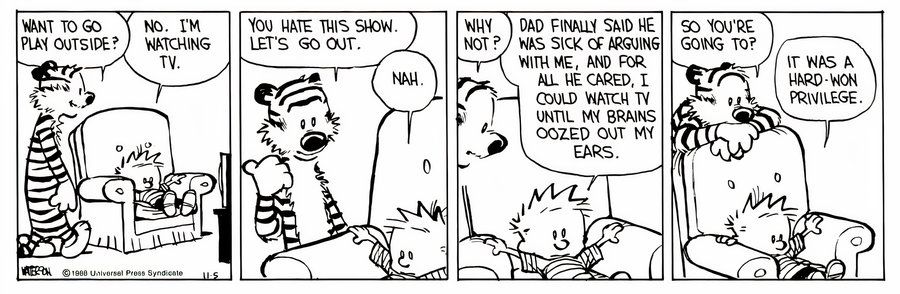 Calvin y Hobbes Televisión - Pudrición Cerebral