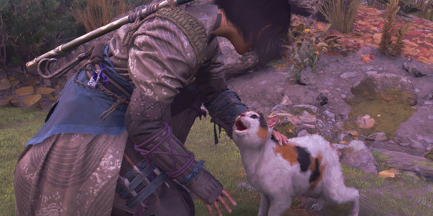 Cat Island in Assassin's Creed Shadows