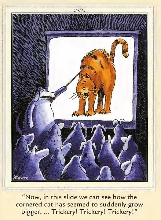 Far Side Cats and Dogs - Cornered Cat Rules