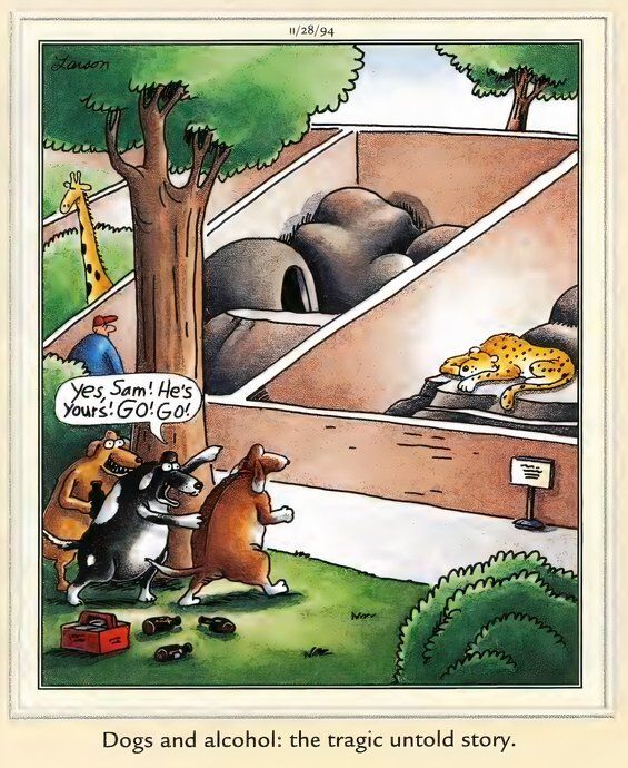 Far Side Cats and Dogs - Dogs and Alcohol Don't Mix