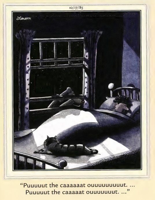 Far Side Cats and Dogs - Put the cat out