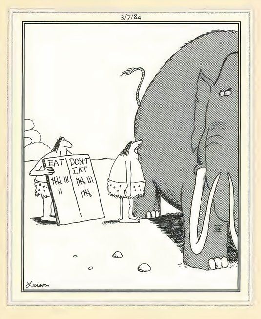 Far Side Elephants - Testing Foods