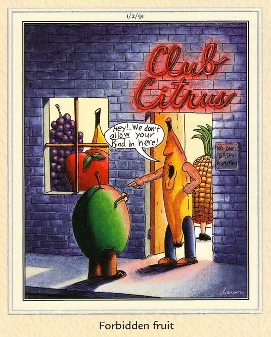 Far Side Fruits and Vegetables - Club Citrus