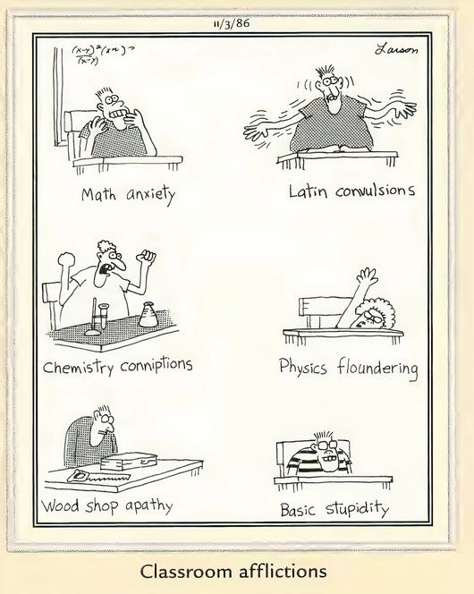 Far Side Memes - Classroom Afflictions