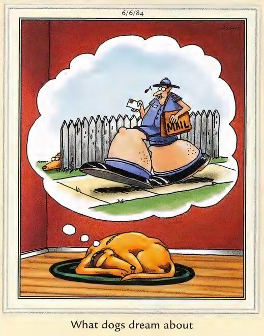 Far Side Memes - Dog Dreams