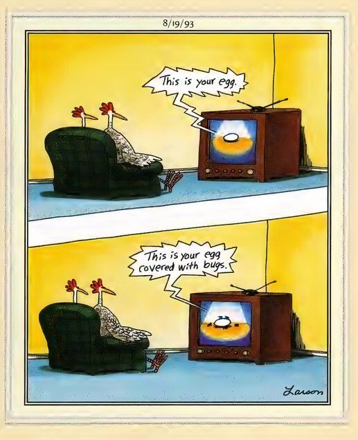 Far Side Memes - Eggs
