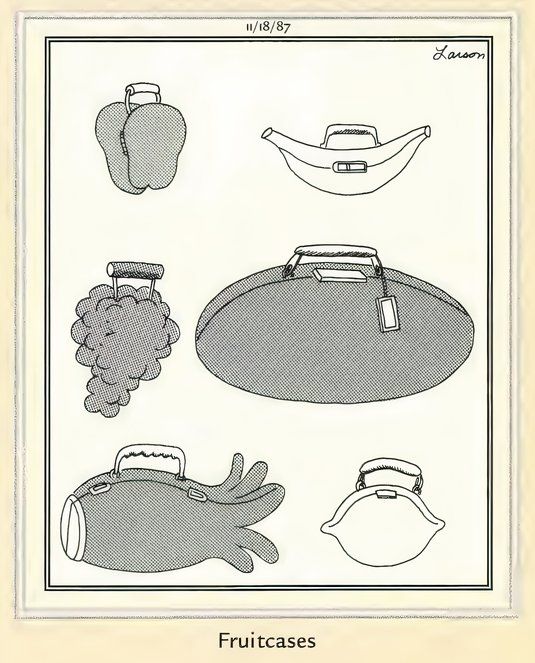 Far Side Memes - Fruitcase