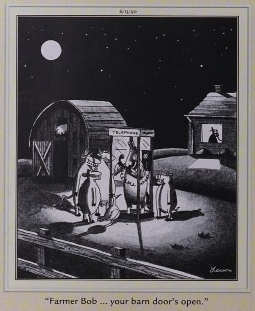 dogs pull a phone prank