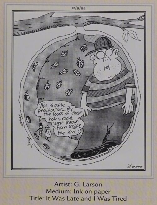 Un niño en una colmena