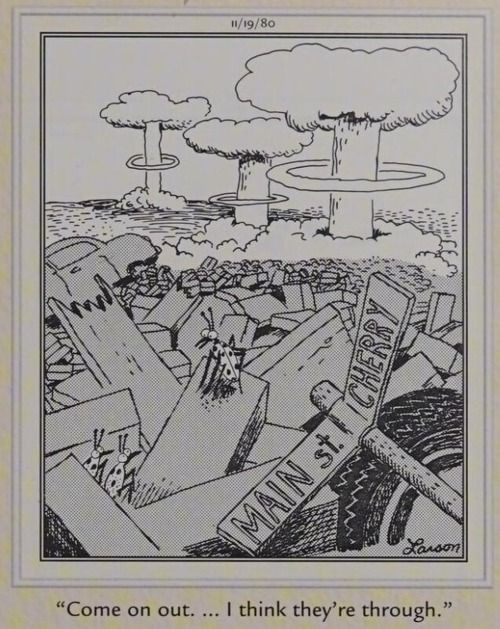 Bugs survive nuclear war