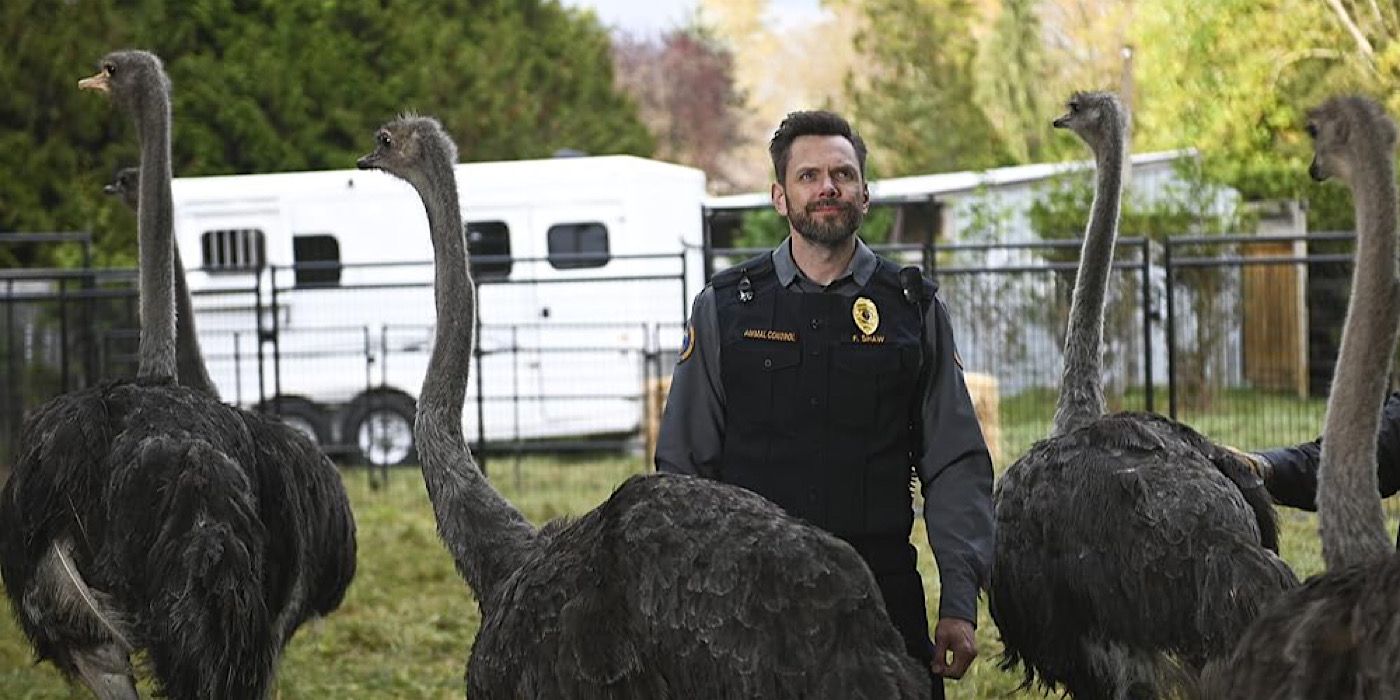 Frank (Joel McHale) está entre avestruces en Animal Control.