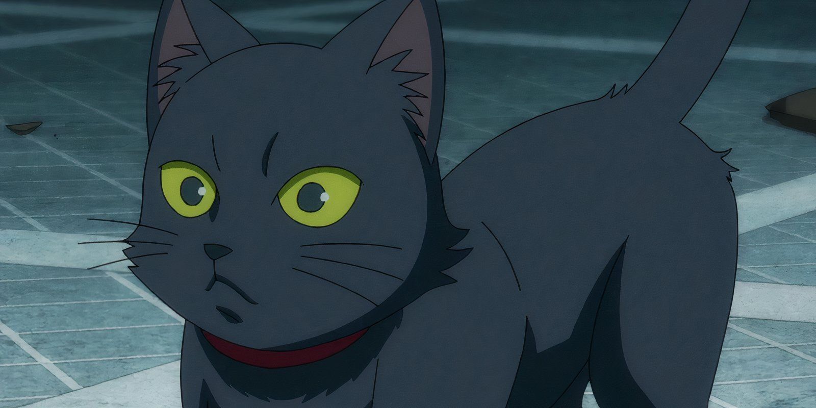 Iris the Cat from DC Comics