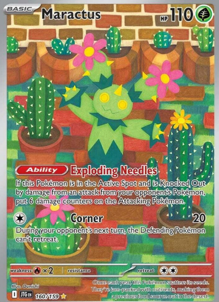 Maractus 