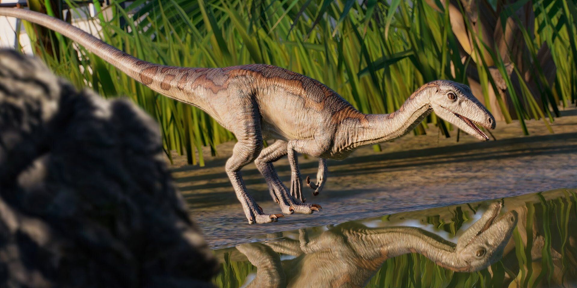 Segisaurus drinking water in Jurassic World Evolution 2