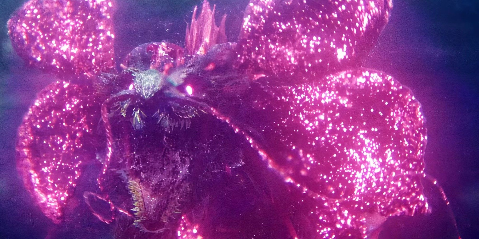 Tiamat fights Godzilla in Godzilla x Kong: The New Empire