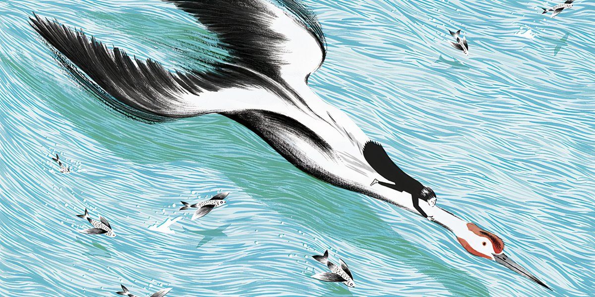 La grulla lanzándose desde La esposa grulla