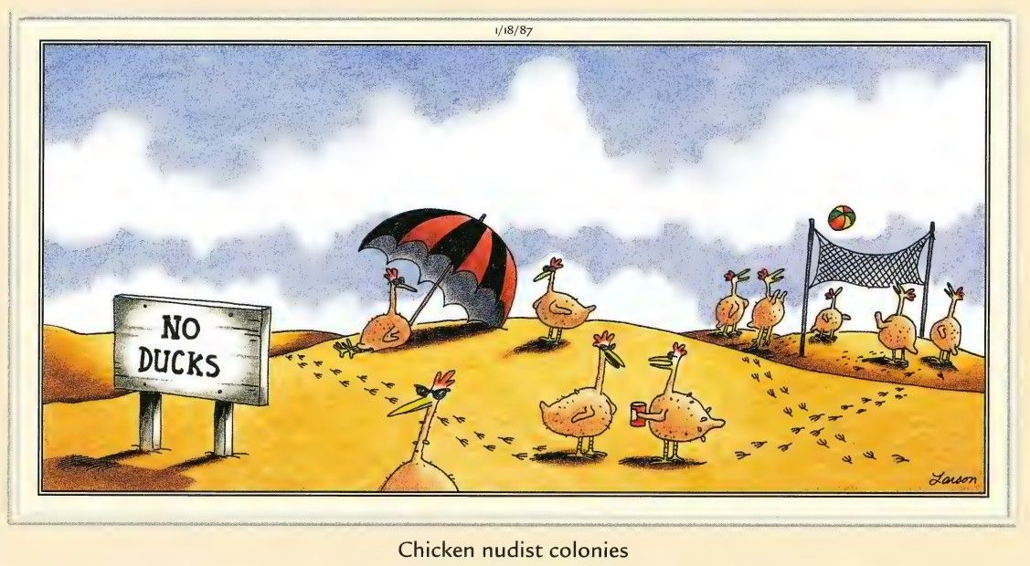 Cómic de Far Side de 1987 sobre colonias nudistas de gallinas