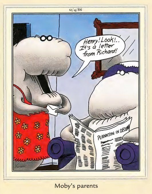 Far Side Books - Moby Dick's Parents