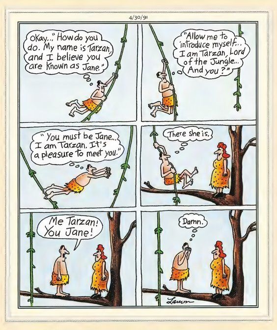 Far Side Books - Tarzan