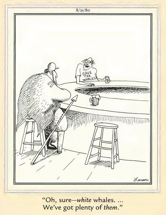 Far Side Books - White Whales