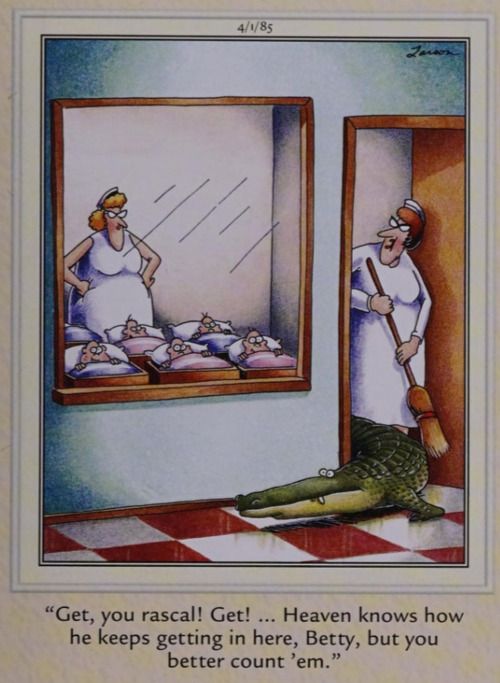 A crocodile is kicked out of an infant room