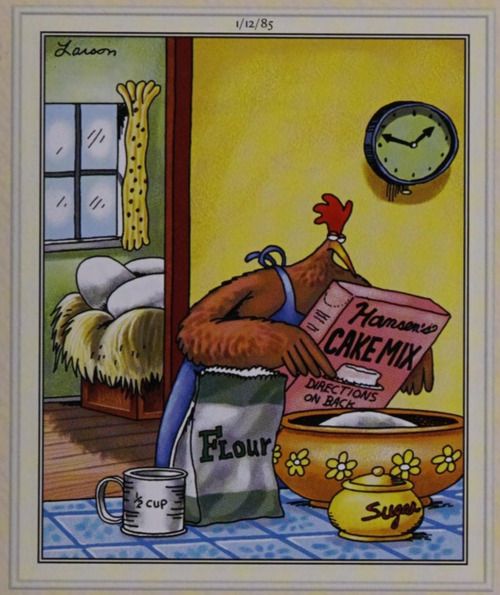 A chicken bakes a cake