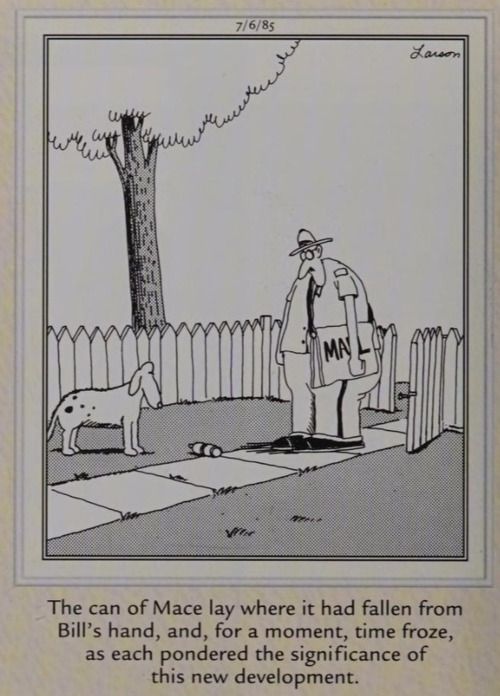 A mail carrier and dog share an awkward moment