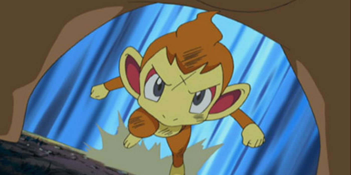 Chimchar lucha contra Ursaring en el anime Pokémon