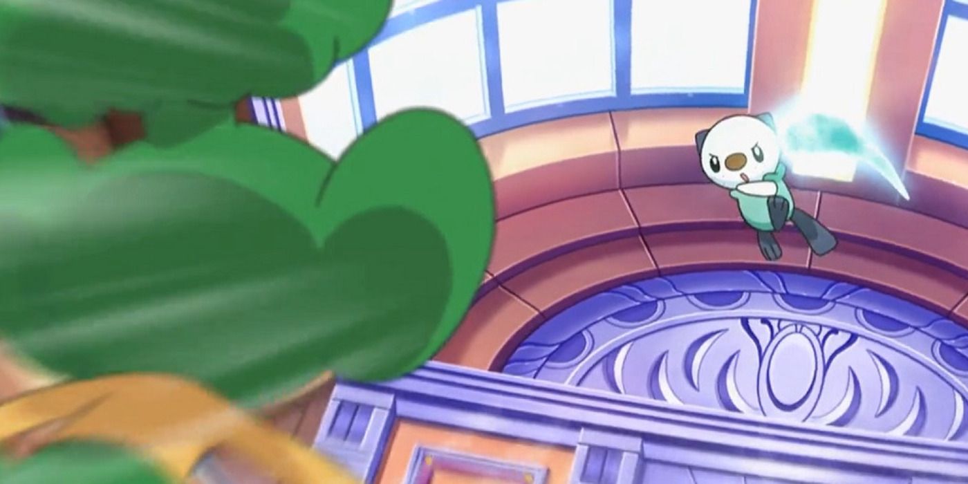 Oshawott de Ash se está preparando para golpear el aseo de Cilan durante la batalla.