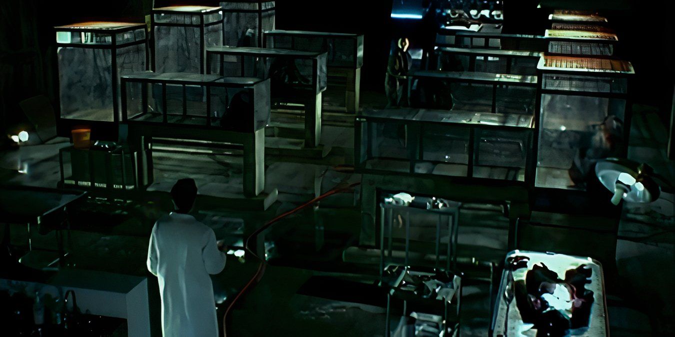 Animal rights activists storm a primate research center