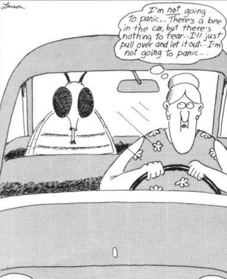 A bee sits in the car with a woman in The Far Side