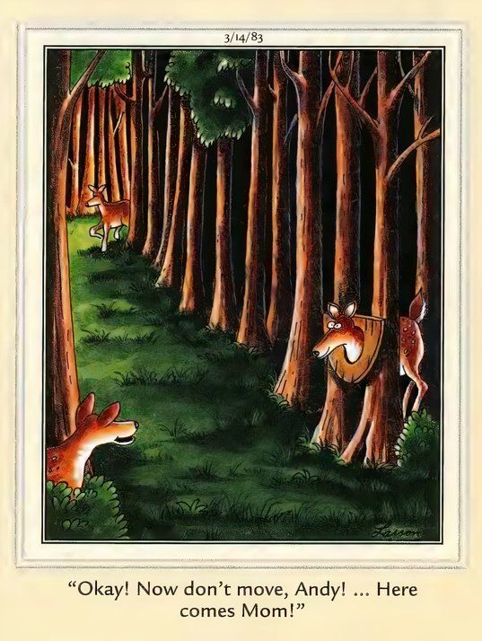 The Far Side - Pranking Mom