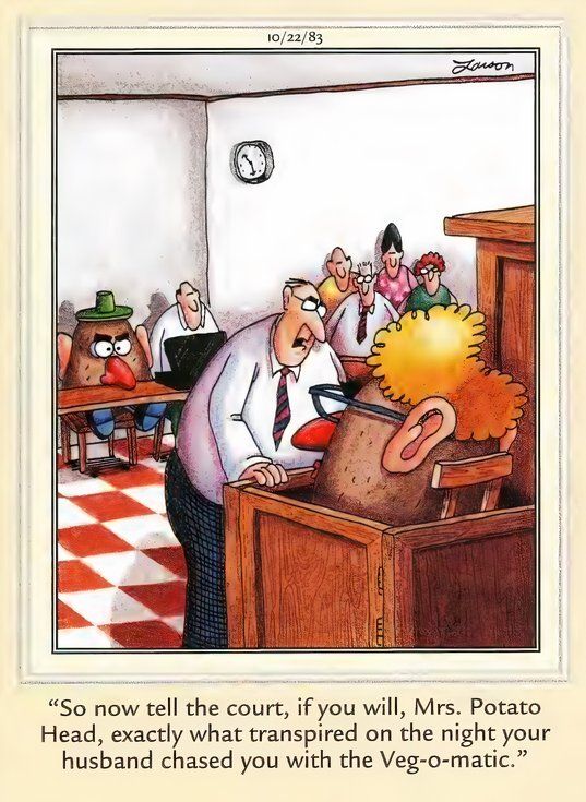 The Far Side - She Did What to Mr. Potato Head