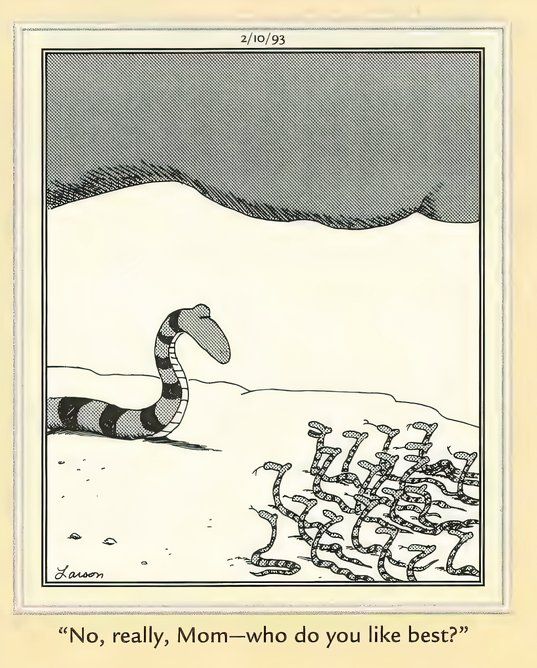 The Far Side - Who Is The Favorite