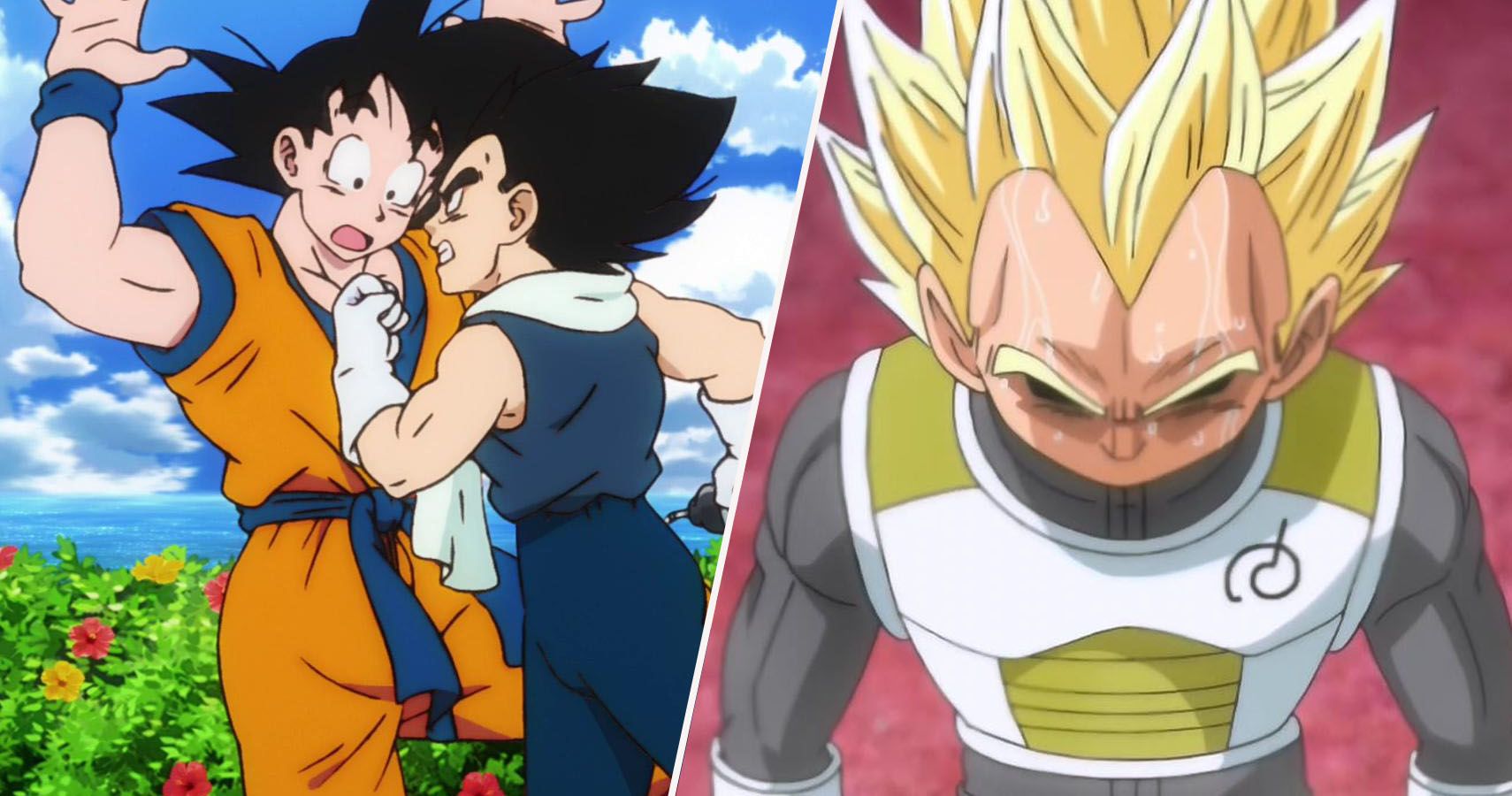 Dragon Ball Z: When Did Goku Stop Hating Vegeta?
