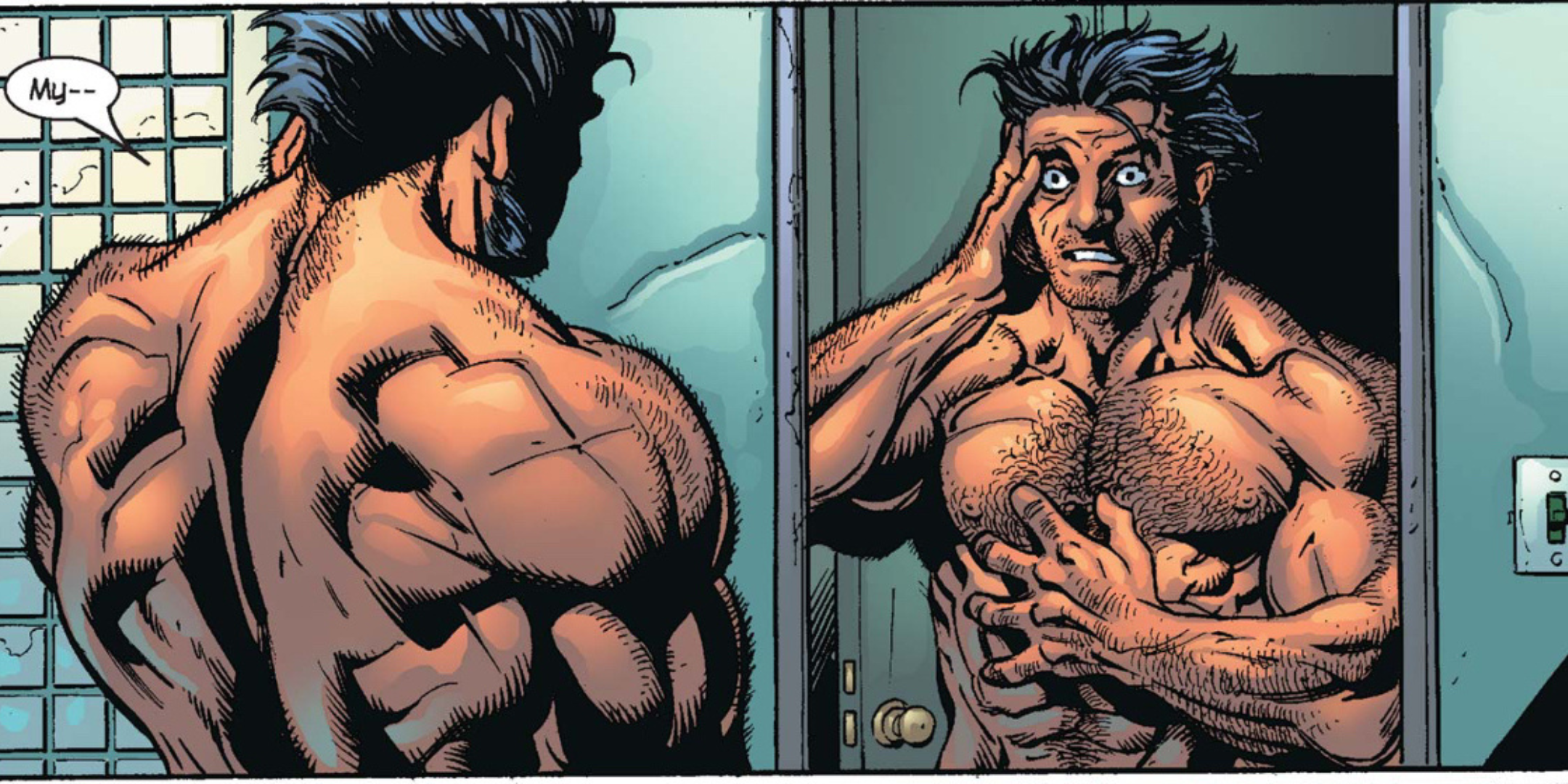 Wolverine Switch