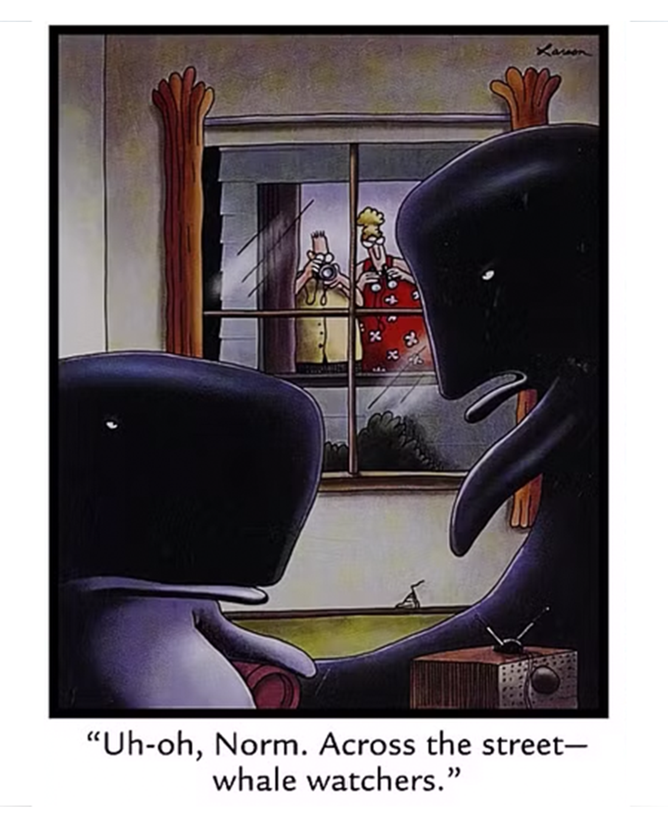 Los observadores de ballenas ganan su nombre en The Far Side