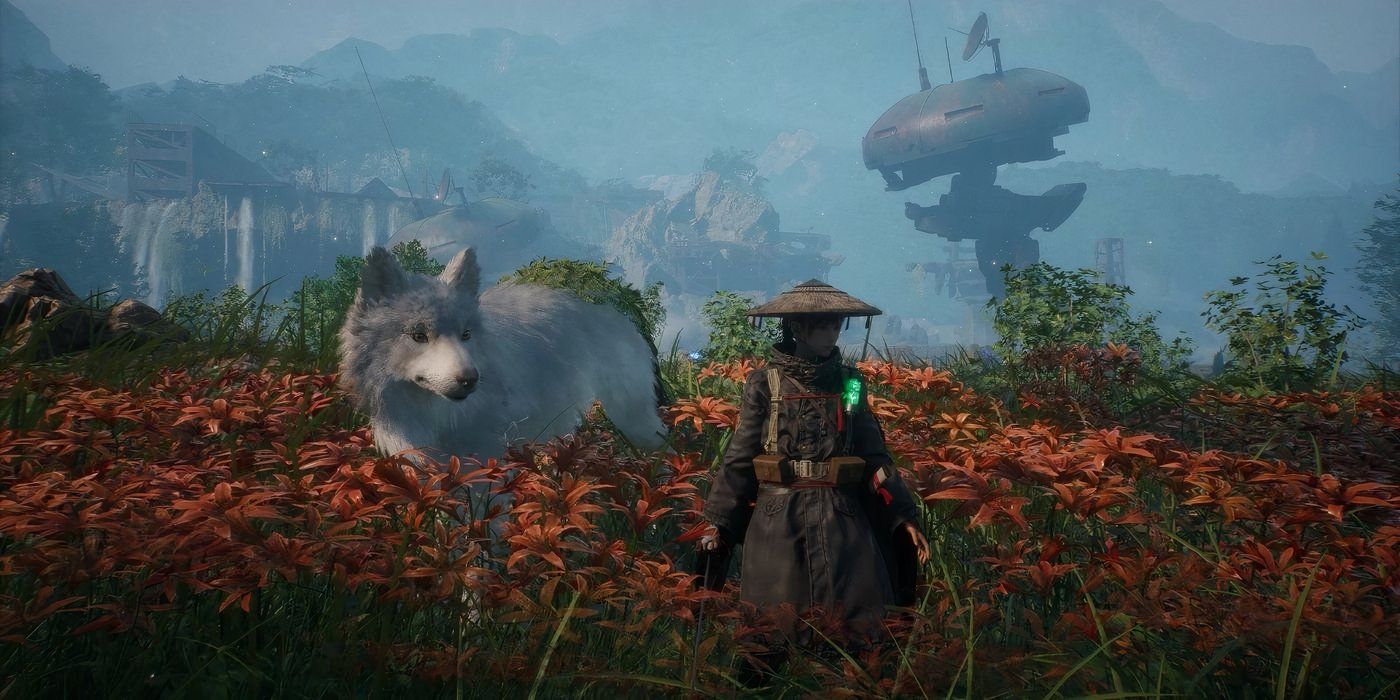 Una mujer y un lobo en medio de un campo