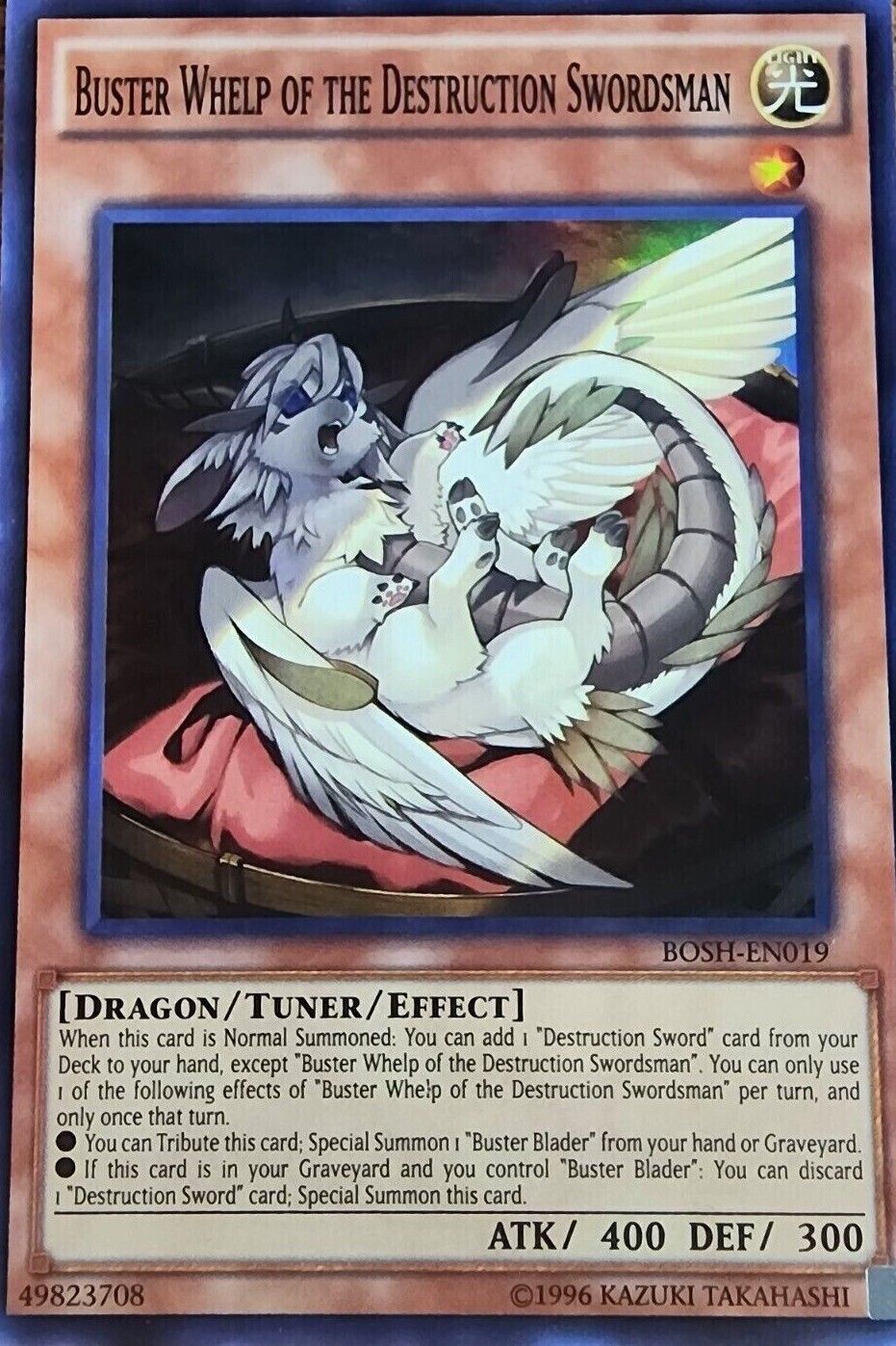 Buster Whelp of the Destruction Swordsman