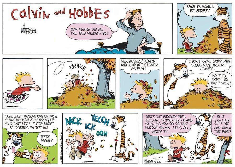 Calvin y Hobbes Pop Culture - La Cosa Es Más Segura que la Naturaleza