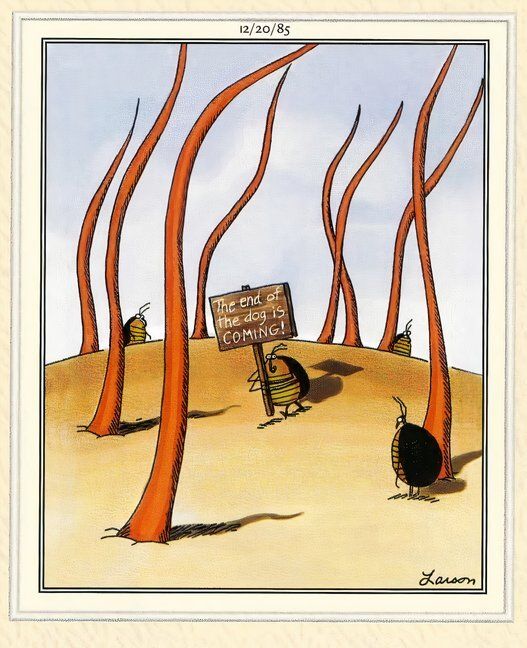 Far Side End of the World - The End of the Dog Is Coming